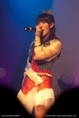 buono-coyote-21