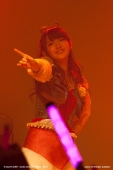 buono-coyote-25