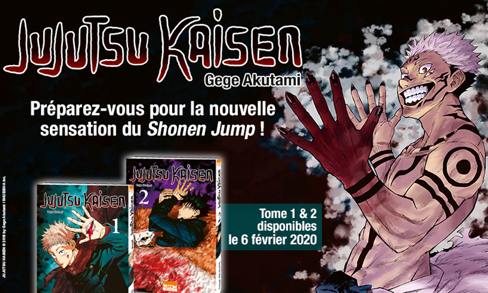 Jujutsu Kaisen Combien De Tome En France